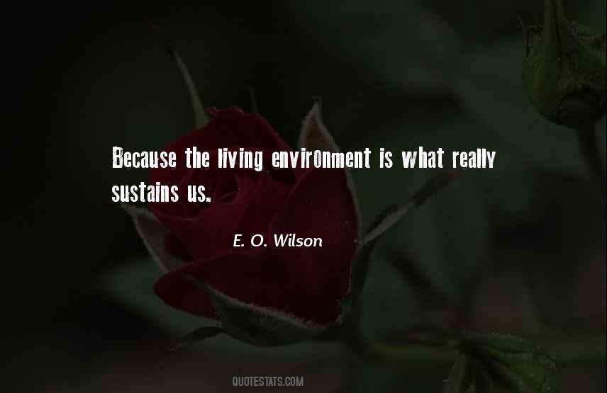 Quotes About Living Environment #100573