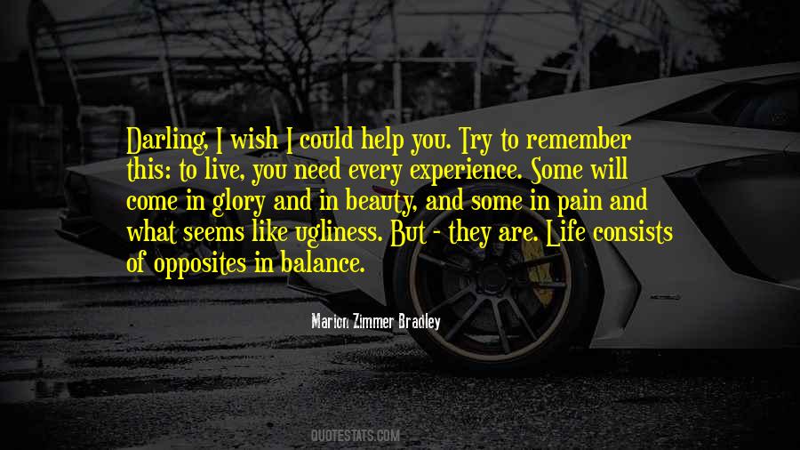 I Wish I Could Help You Quotes #977462