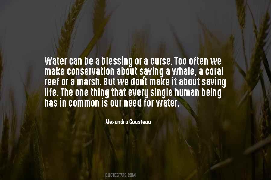 About Blessing Quotes #1317665