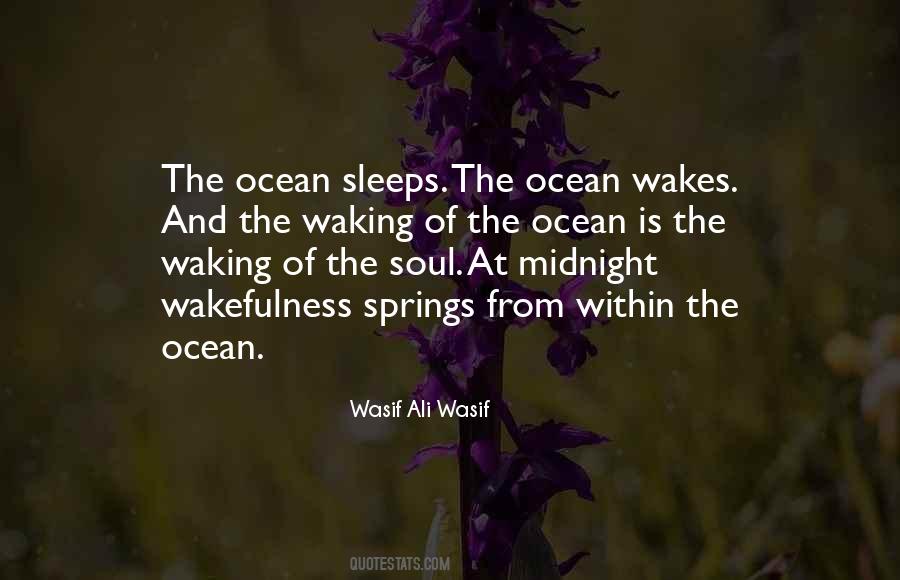 Ocean Soul Quotes #11339
