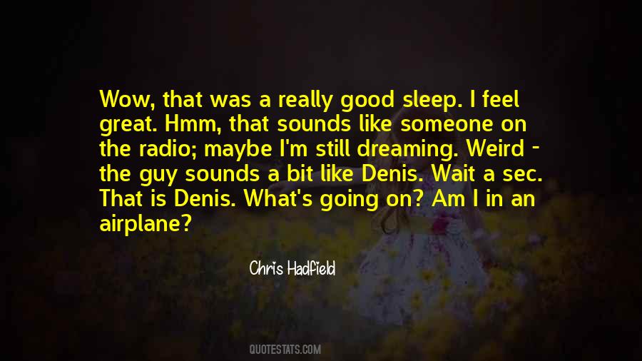 Am I Dreaming Quotes #339015