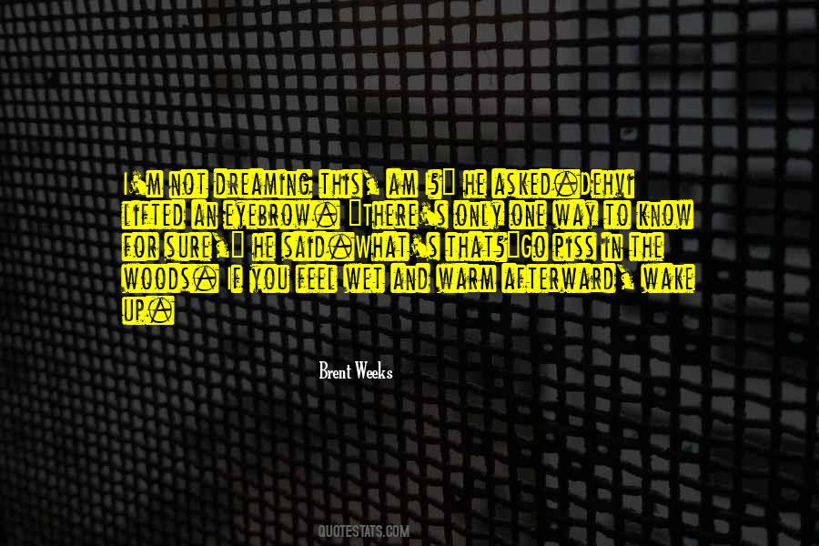 Am I Dreaming Quotes #618729