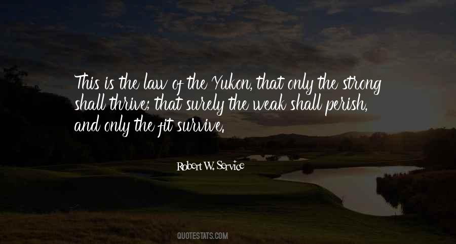 Quotes About The Strong And The Weak #26215