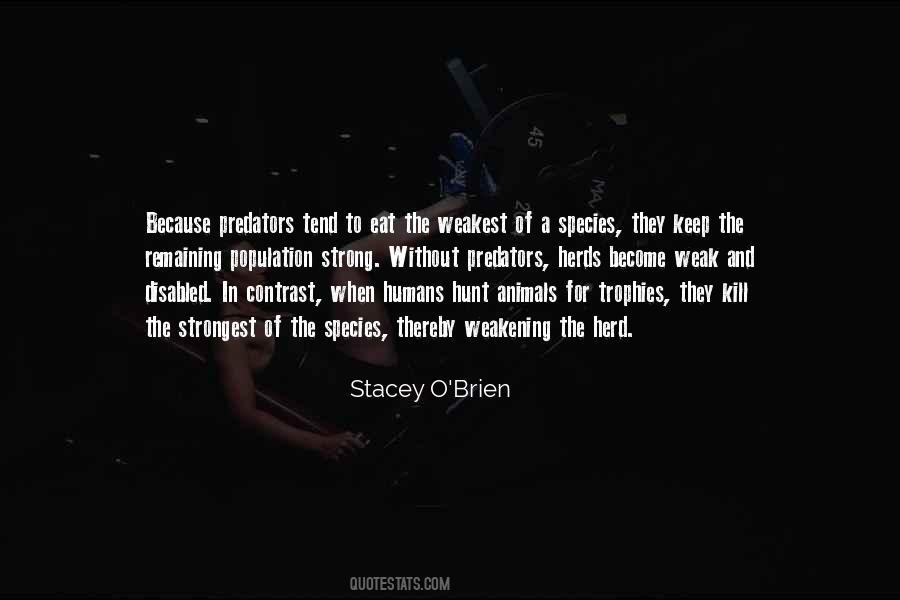 Quotes About The Strong And The Weak #95563