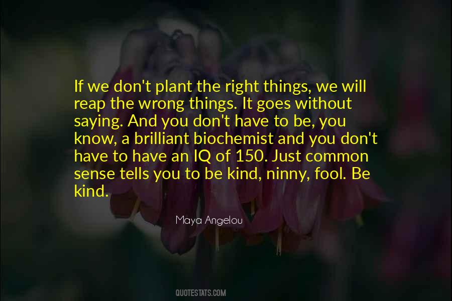 The Right Kind Of Wrong Quotes #1641219