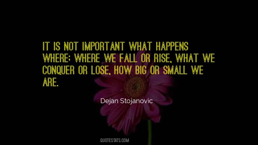 Small Is Big Quotes #266528