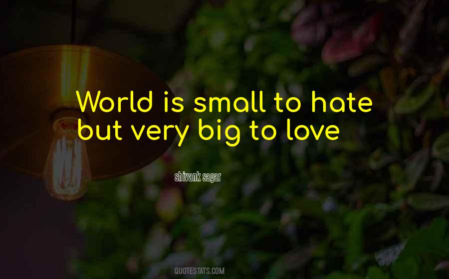 Small Is Big Quotes #346036