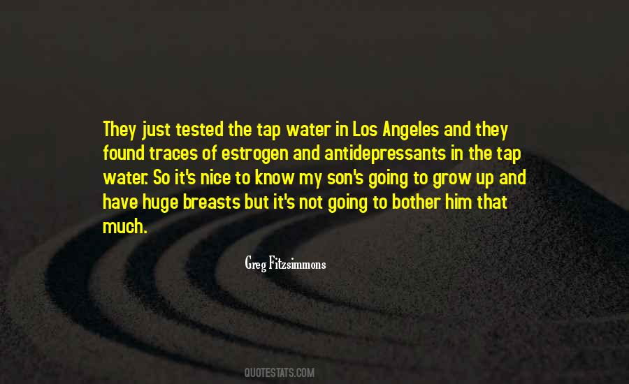 Nice Son Quotes #1269638
