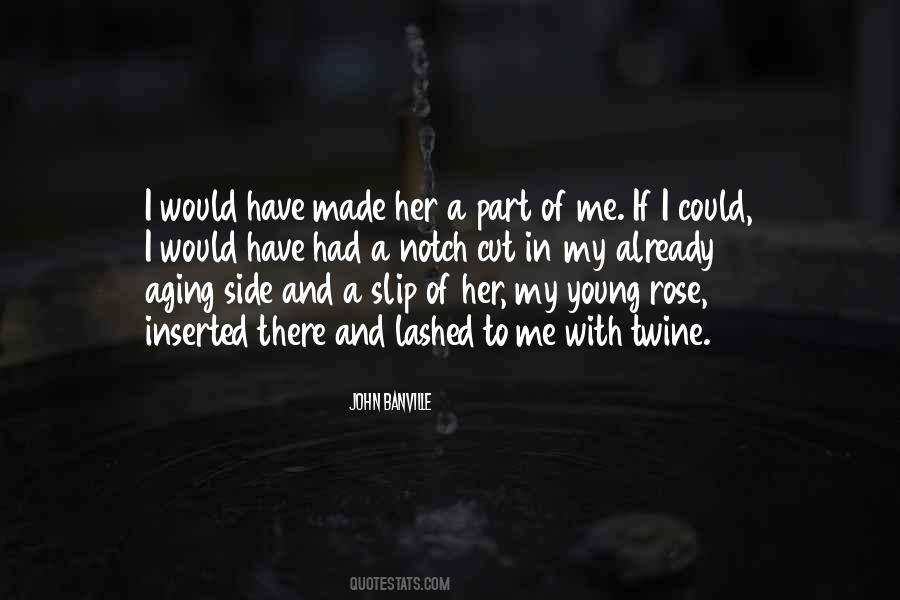 If I Could I Would Quotes #1608493