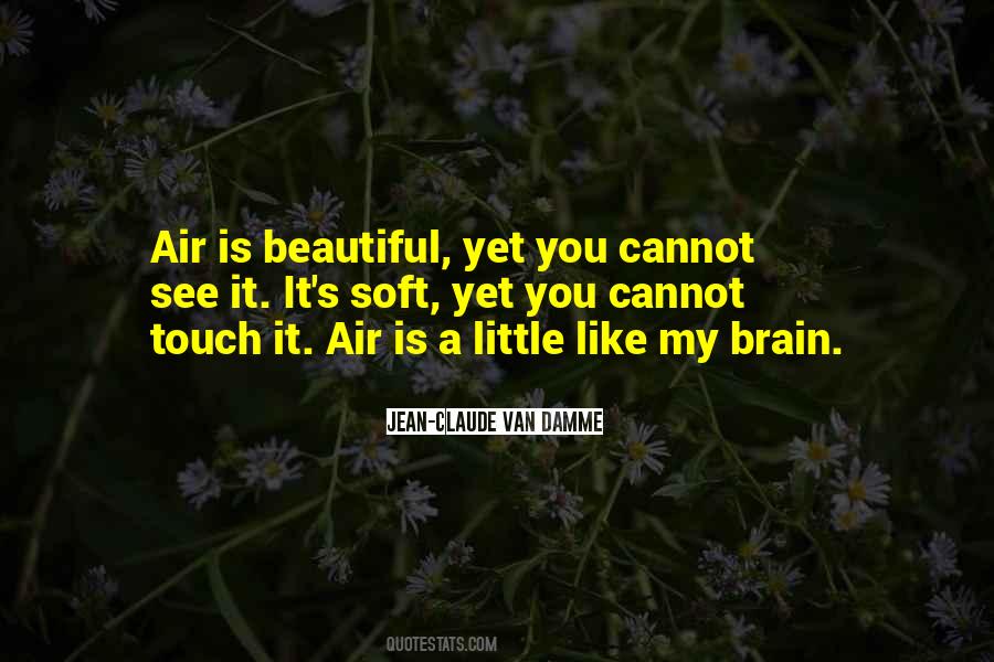 Beautiful Air Quotes #393773