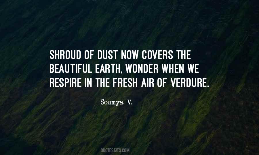 Beautiful Air Quotes #611380