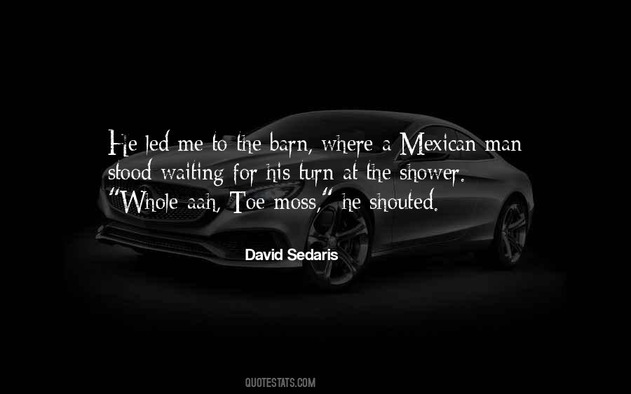 A Mexican Quotes #579959
