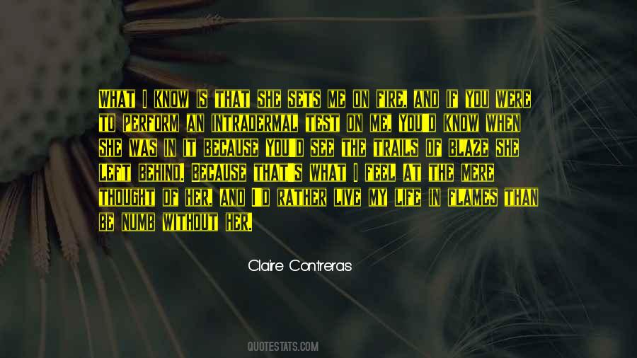 I Know It When I See It Quotes #193369