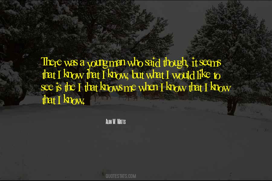 I Know It When I See It Quotes #877829