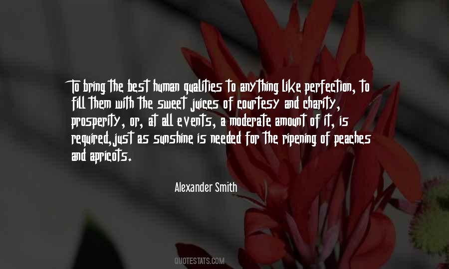 Perfection Is The Best Quotes #306888