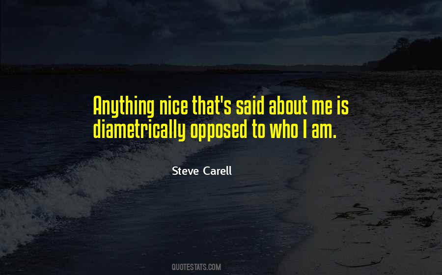 I Am Nice Quotes #400459