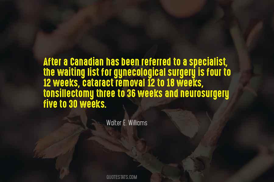 The Specialist Quotes #130591