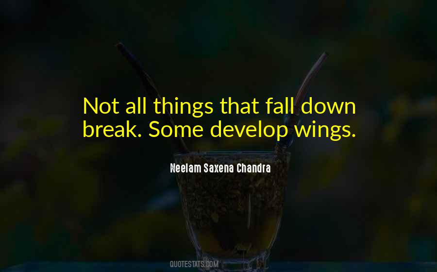 Some Attitude Quotes #1451110