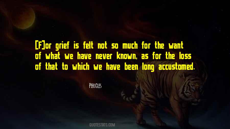 So Much Sadness Quotes #328825