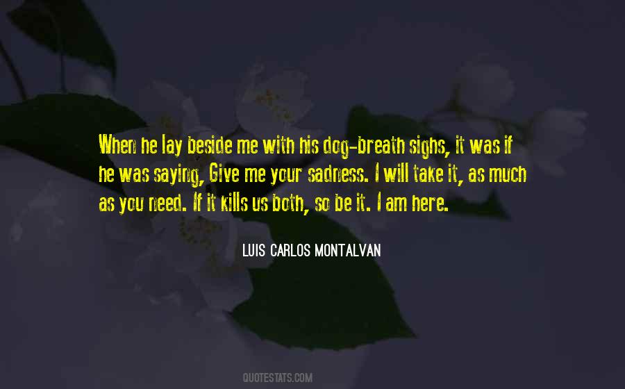 So Much Sadness Quotes #603491