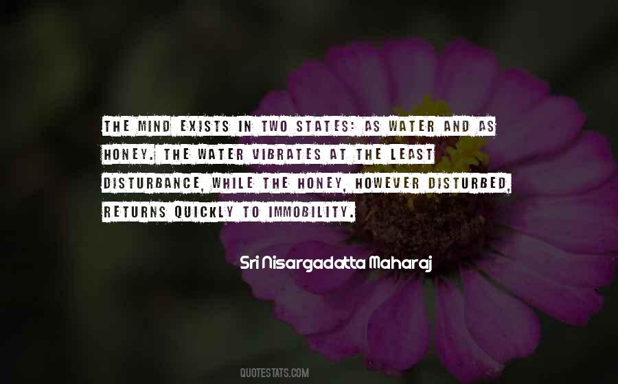 Water Wisdom Quotes #1731605