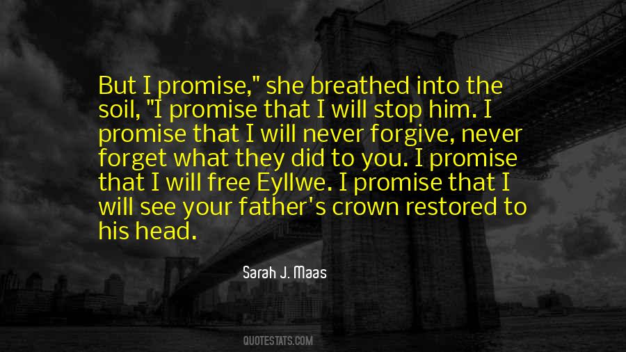 Never Forget What They Did To You Quotes #1372438