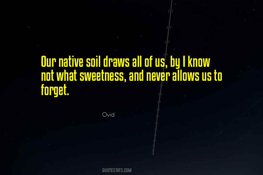 Never Forget What They Did To You Quotes #93558