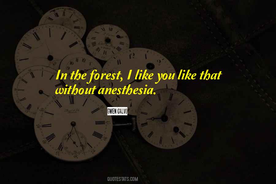I Like You Like Quotes #864236
