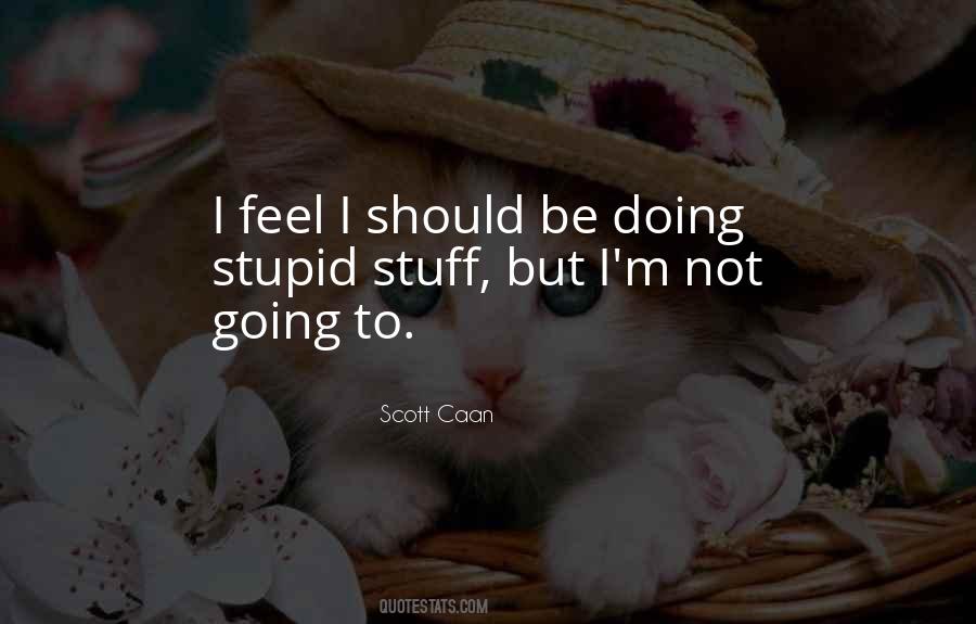 When You Do Stupid Things Quotes #43720