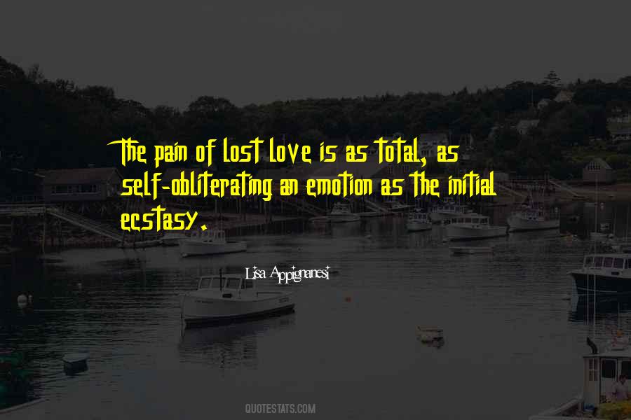 Pain Of Lost Love Quotes #906797