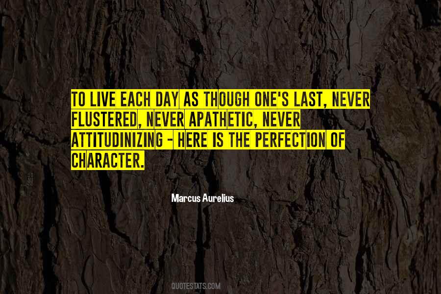 Quotes About Never Perfection #125801