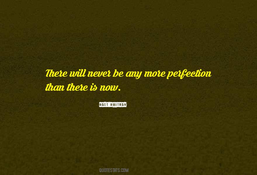 Quotes About Never Perfection #145607