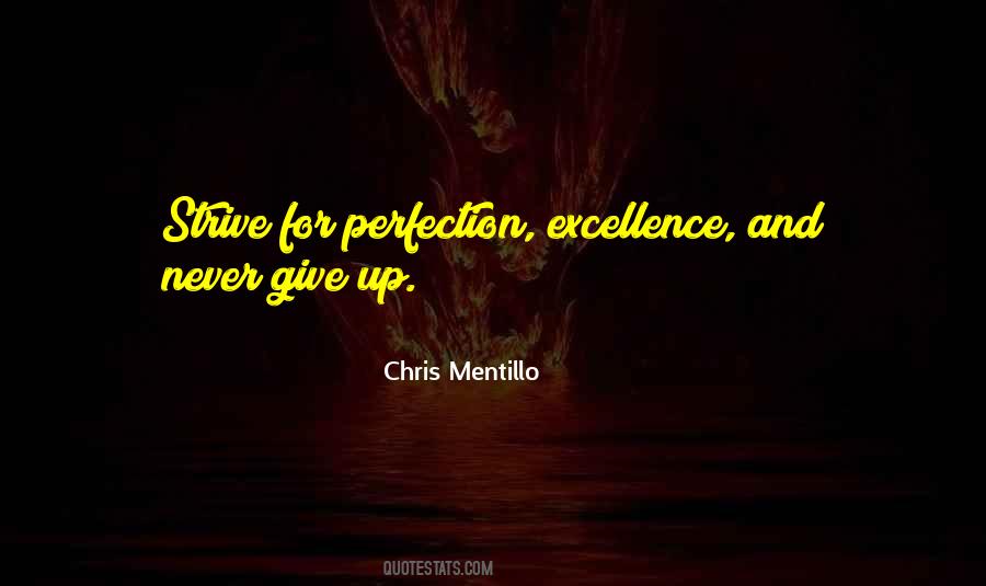 Quotes About Never Perfection #298227