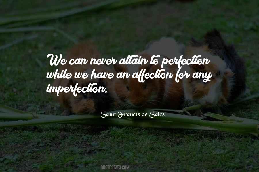 Quotes About Never Perfection #409666