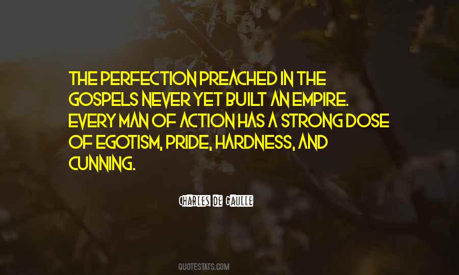 Quotes About Never Perfection #476175
