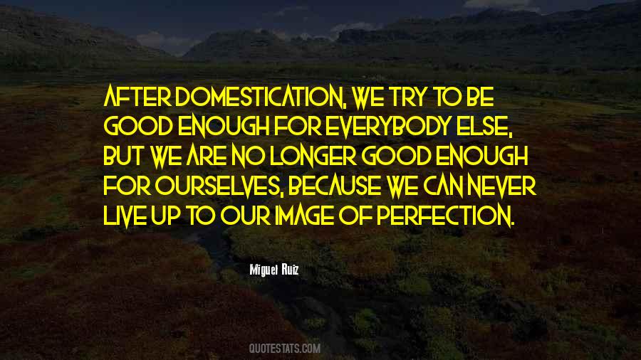 Quotes About Never Perfection #497741