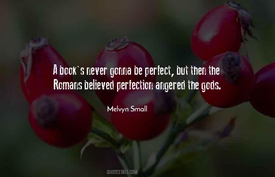 Quotes About Never Perfection #930940