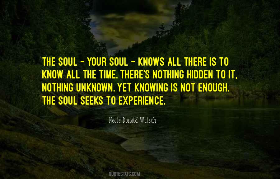 Knowing The Unknown Quotes #1813136