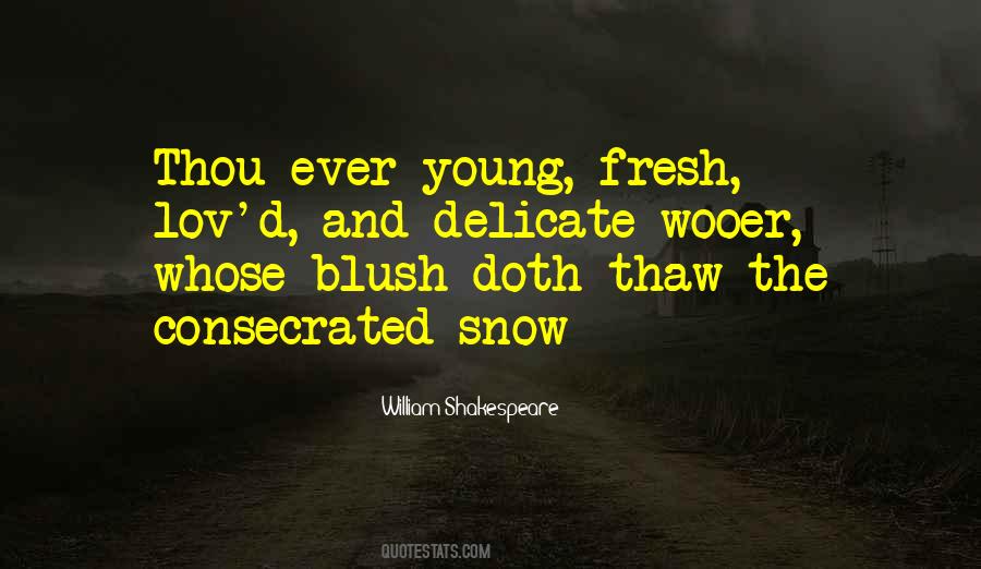 Snow And You Quotes #1345332