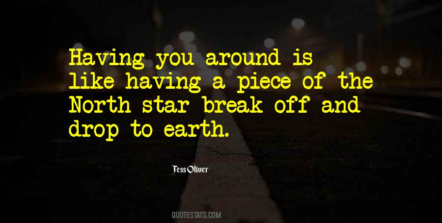Having A Break Quotes #139899