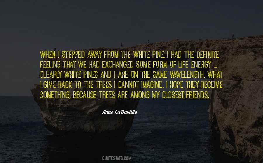 Pine Trees With Quotes #1504899