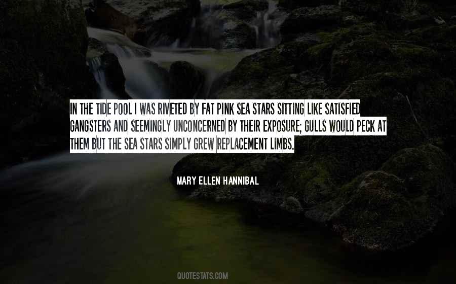 Sea And Stars Quotes #249542