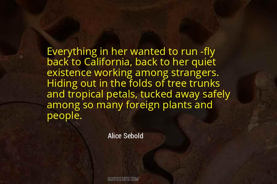 Quotes About Hiding Away #1066411