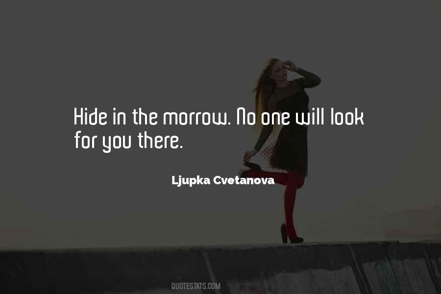 Quotes About Hiding Away #1139358