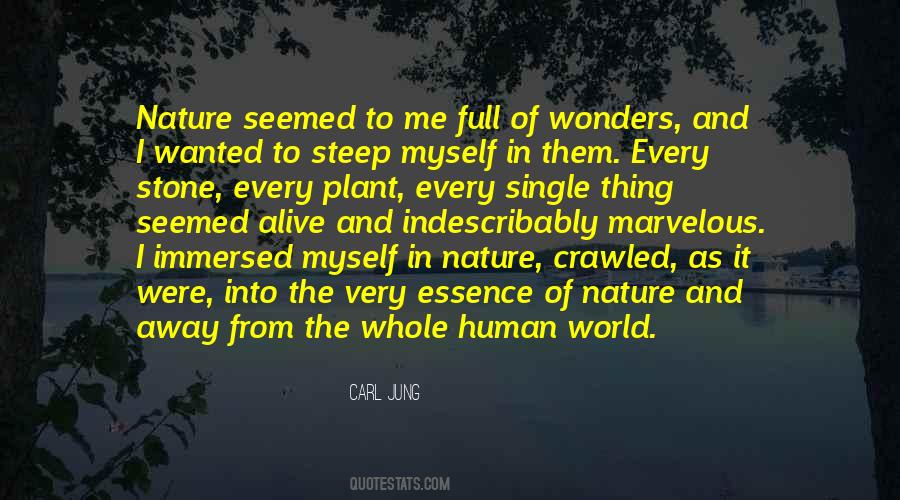 Quotes About The Wonders Of The World #1523300