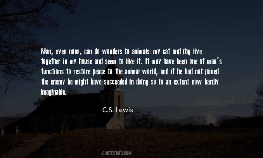 Quotes About The Wonders Of The World #708465