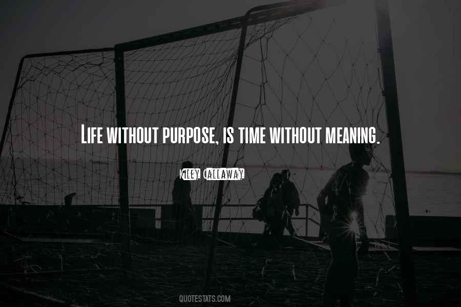 Purpose Meaning Quotes #372438