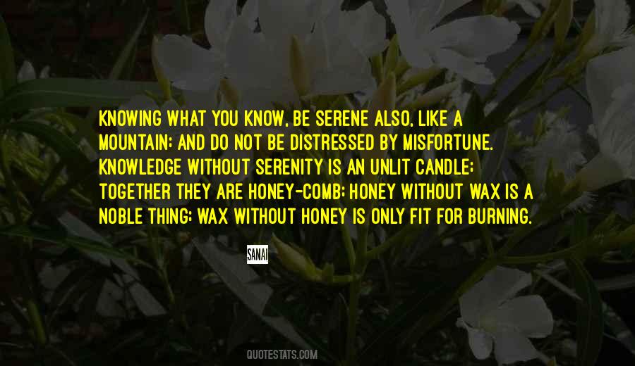 Is Like Honey Quotes #299137