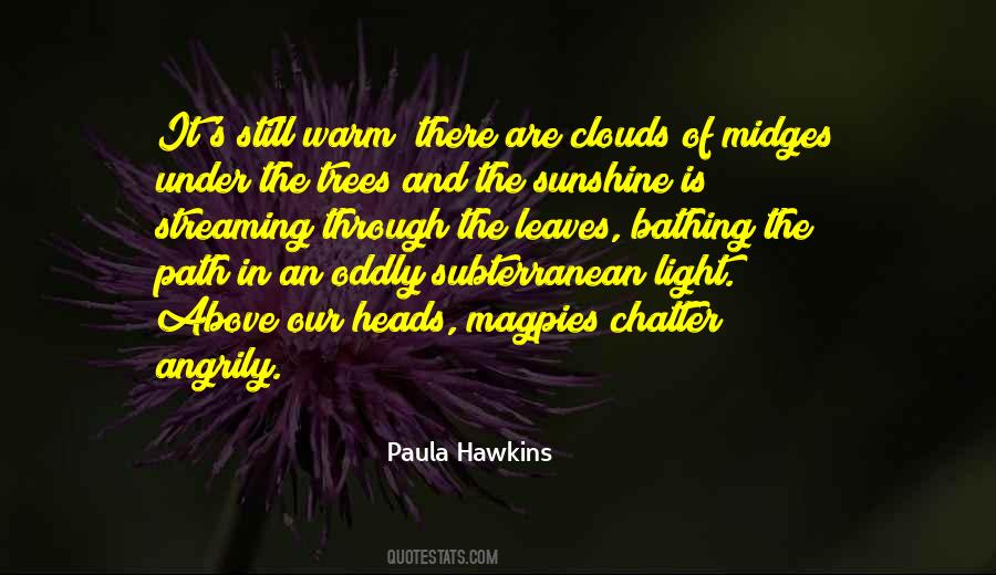 Quotes About Light And Sunshine #863823