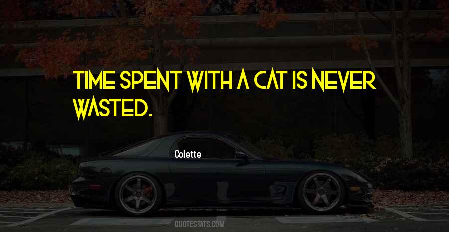 Sorry I Wasted Your Time Quotes #139945